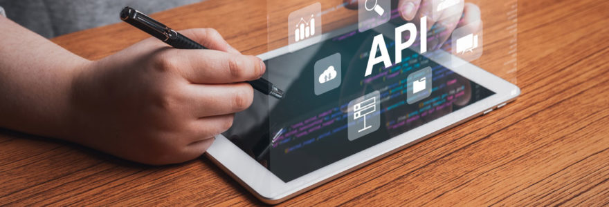Voice and SMS API